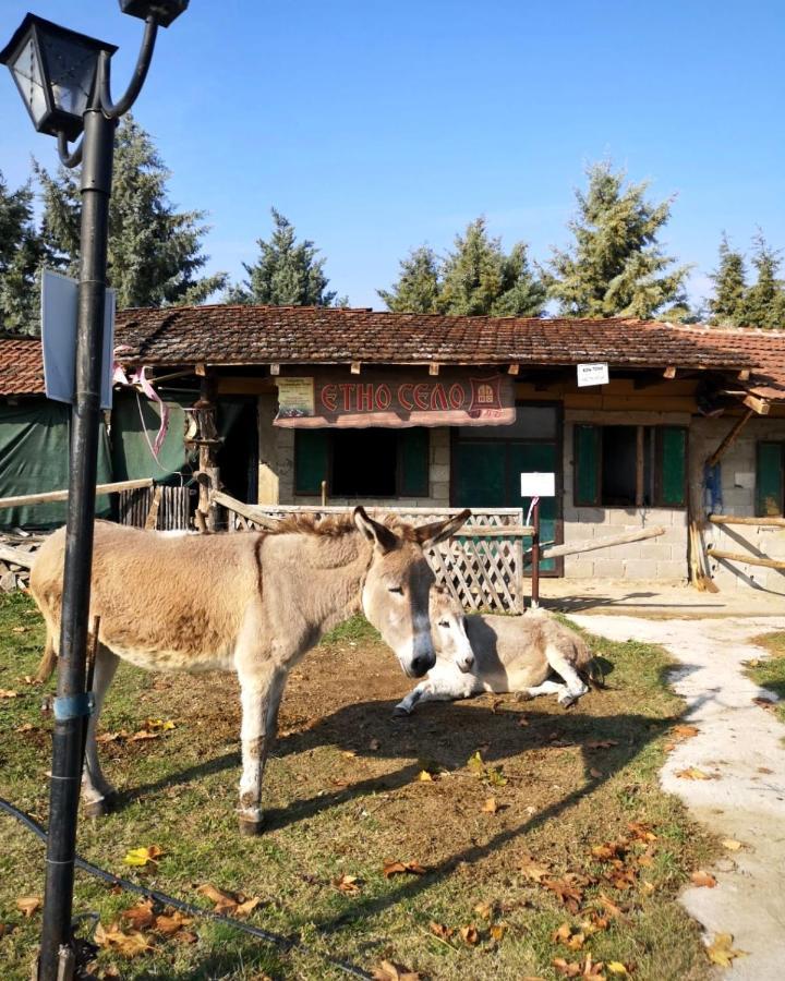 Etno Selo Timcevski Complex Vojnik Extérieur photo